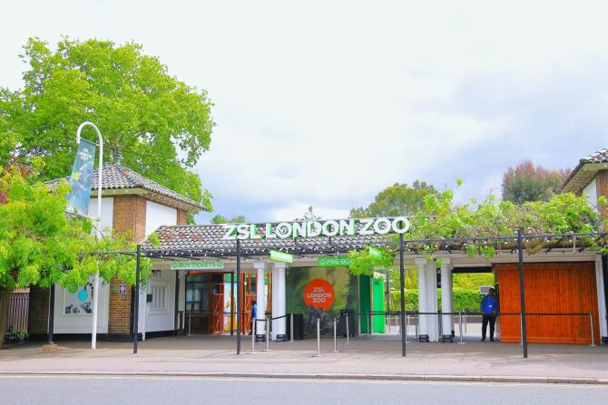 See the World’s Wildlife at the London Zoo