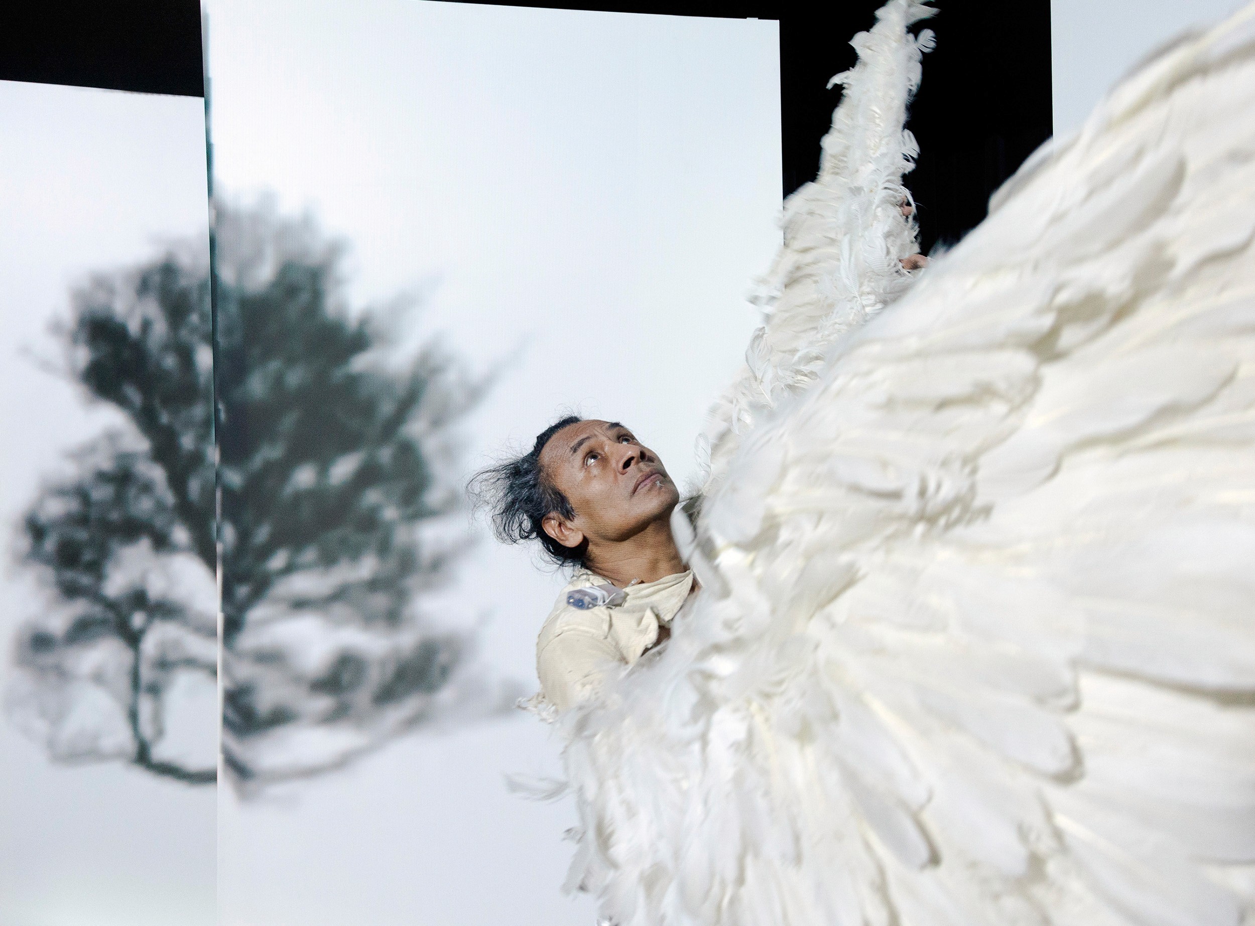 Faszination Digital - augmented interactive performance installation