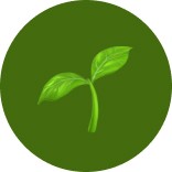 Reviewer Image