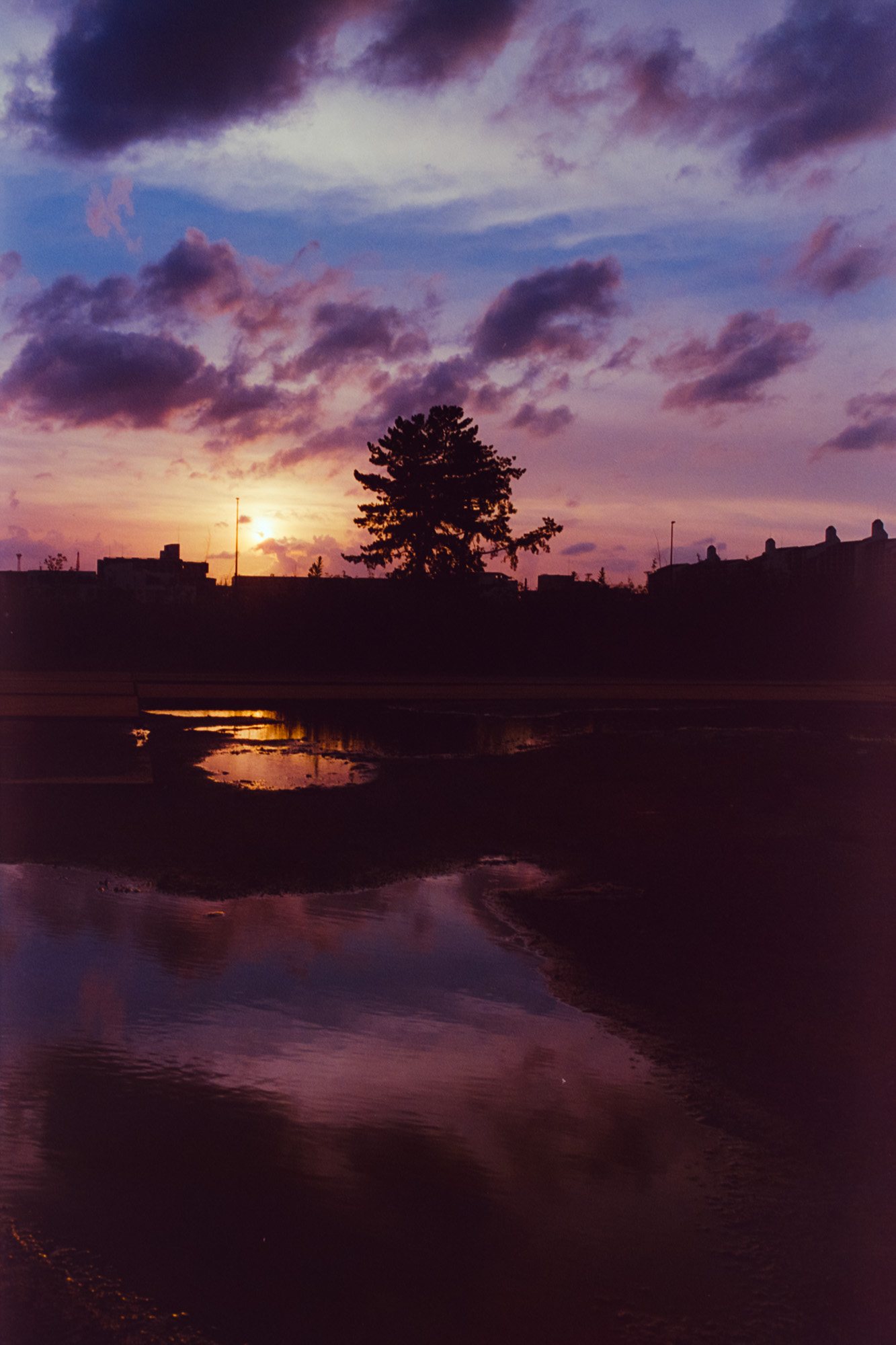 Taisei Matsumoto, archive random photograph 100
