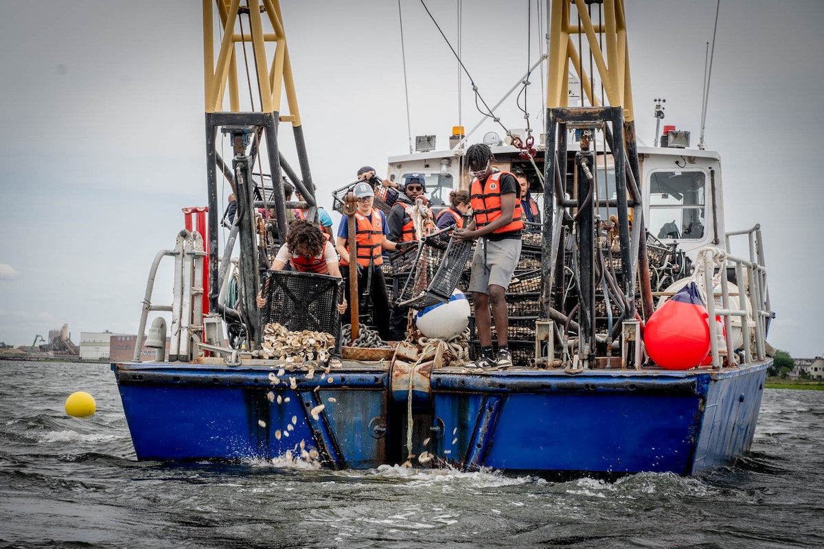 Photo by: Billion Oyster Project