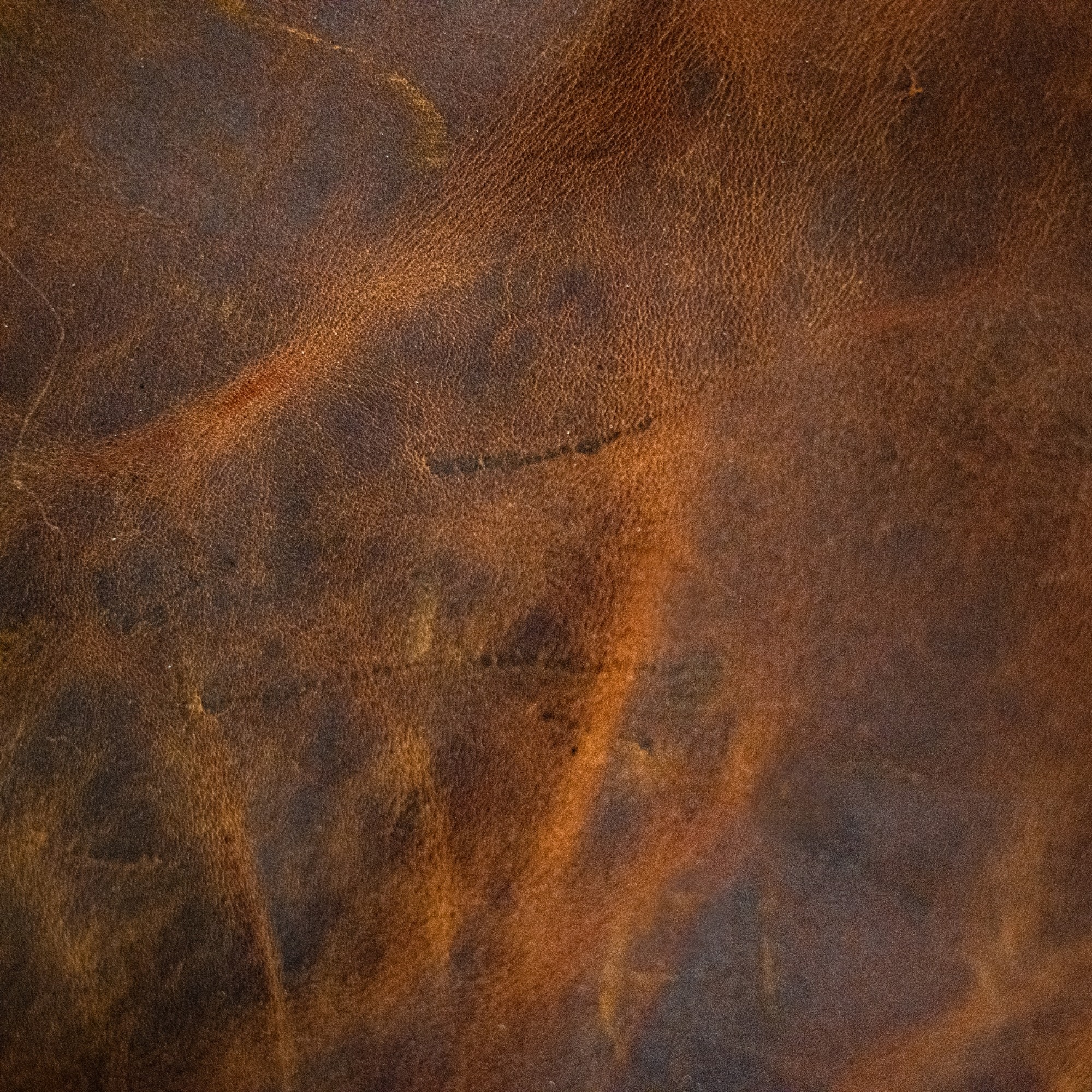 Aged leather background with a stitched border and brass studs