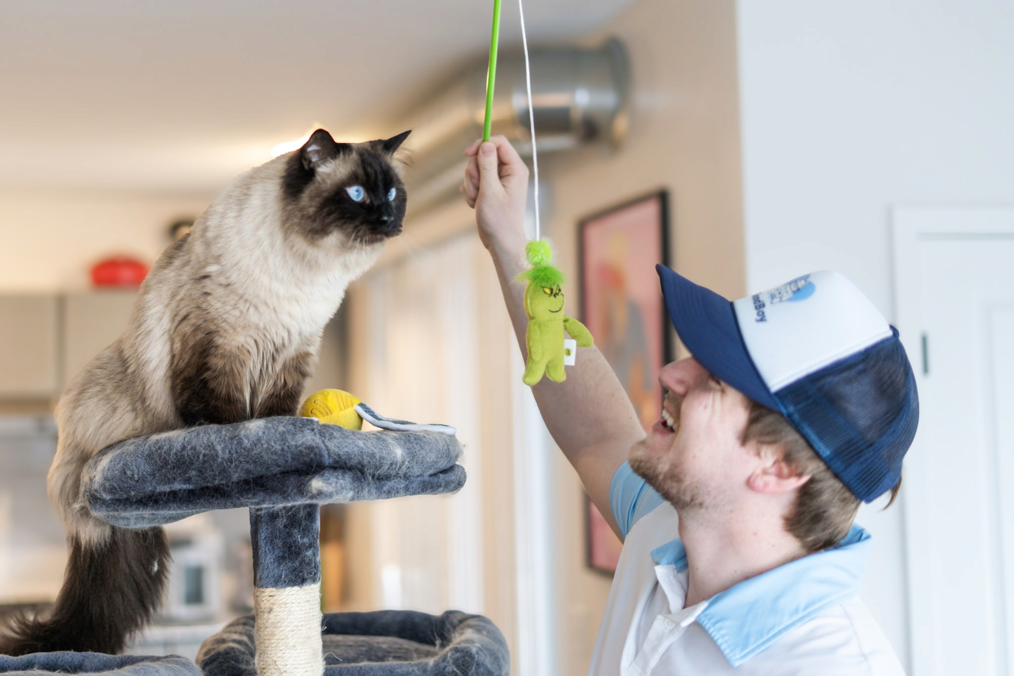 Professional In Home Pet sitting