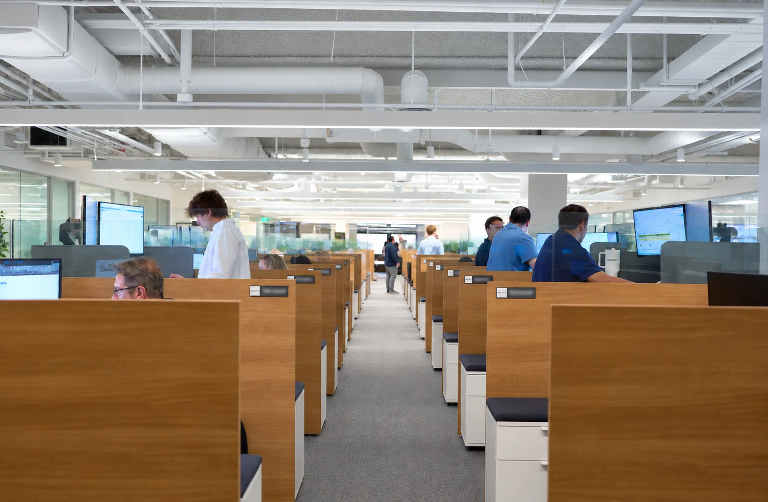 Team collaborating in an office