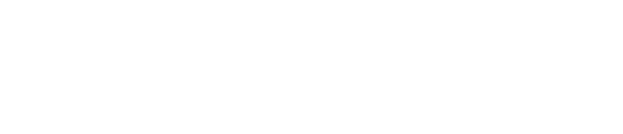 White Tesla Logo