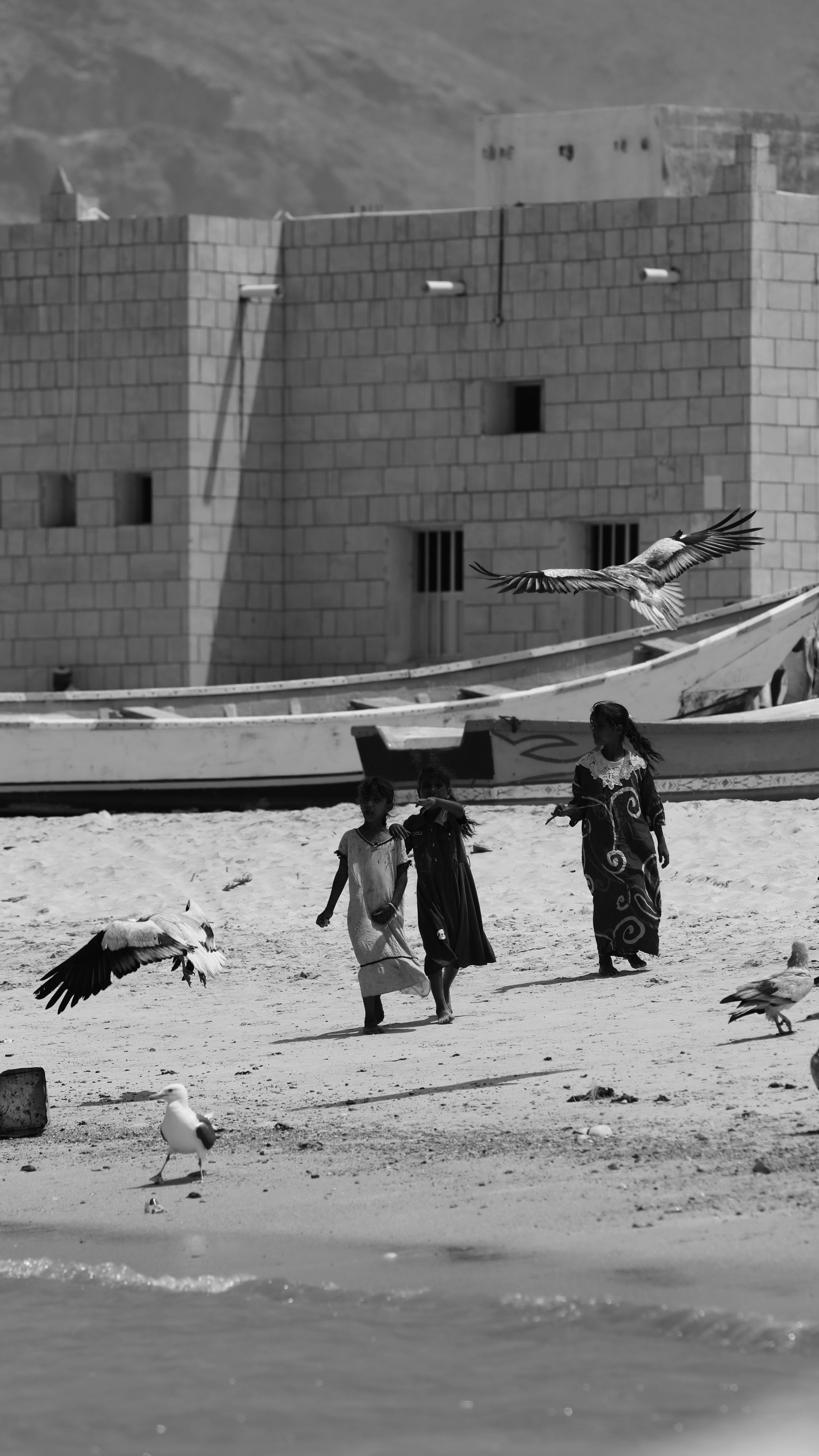 black and white socotra scene