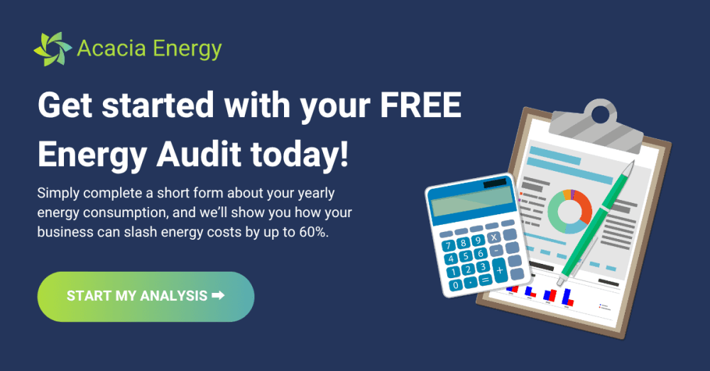 Business energy audit