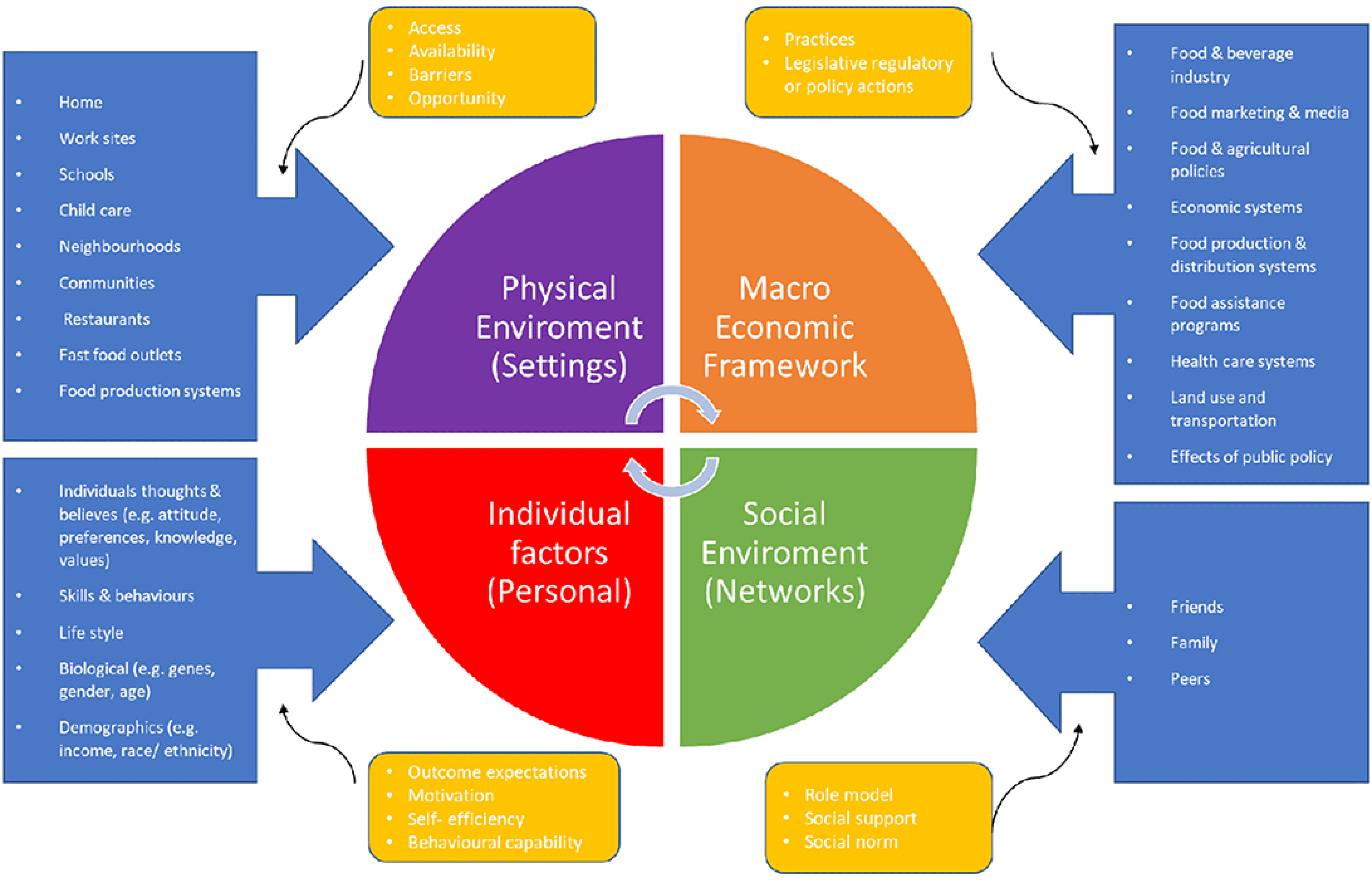 A systematic representation of the four determinants that affect an individual's eating behaviour