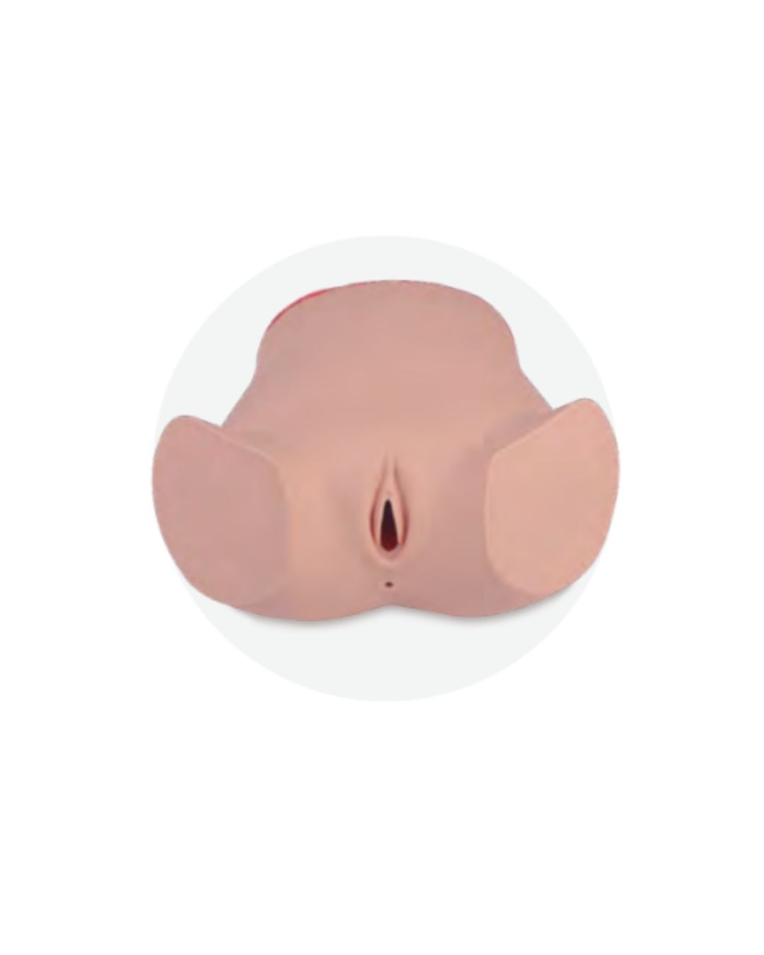 IUD Placement and Extraction Model