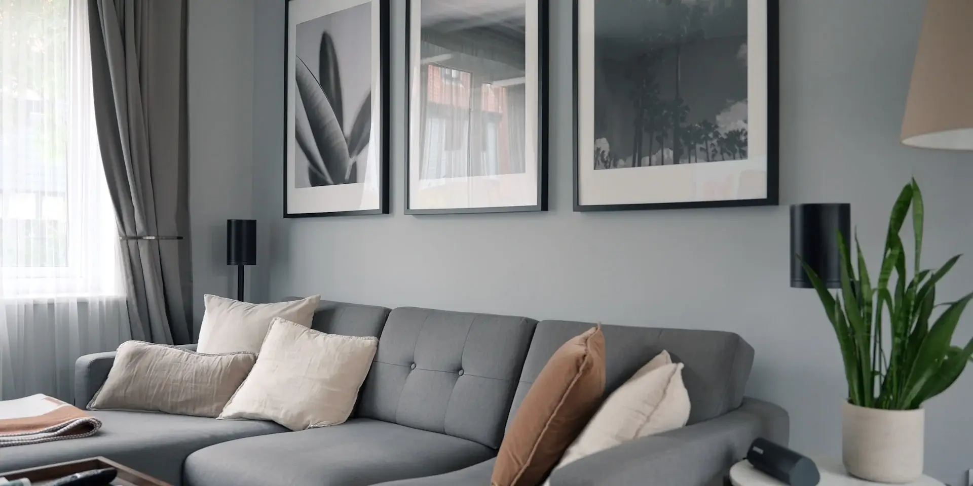 Modern bedroom with gray accent wall, upholstered bed, layered cushions, bedside table, wall sconce, and indoor plant.