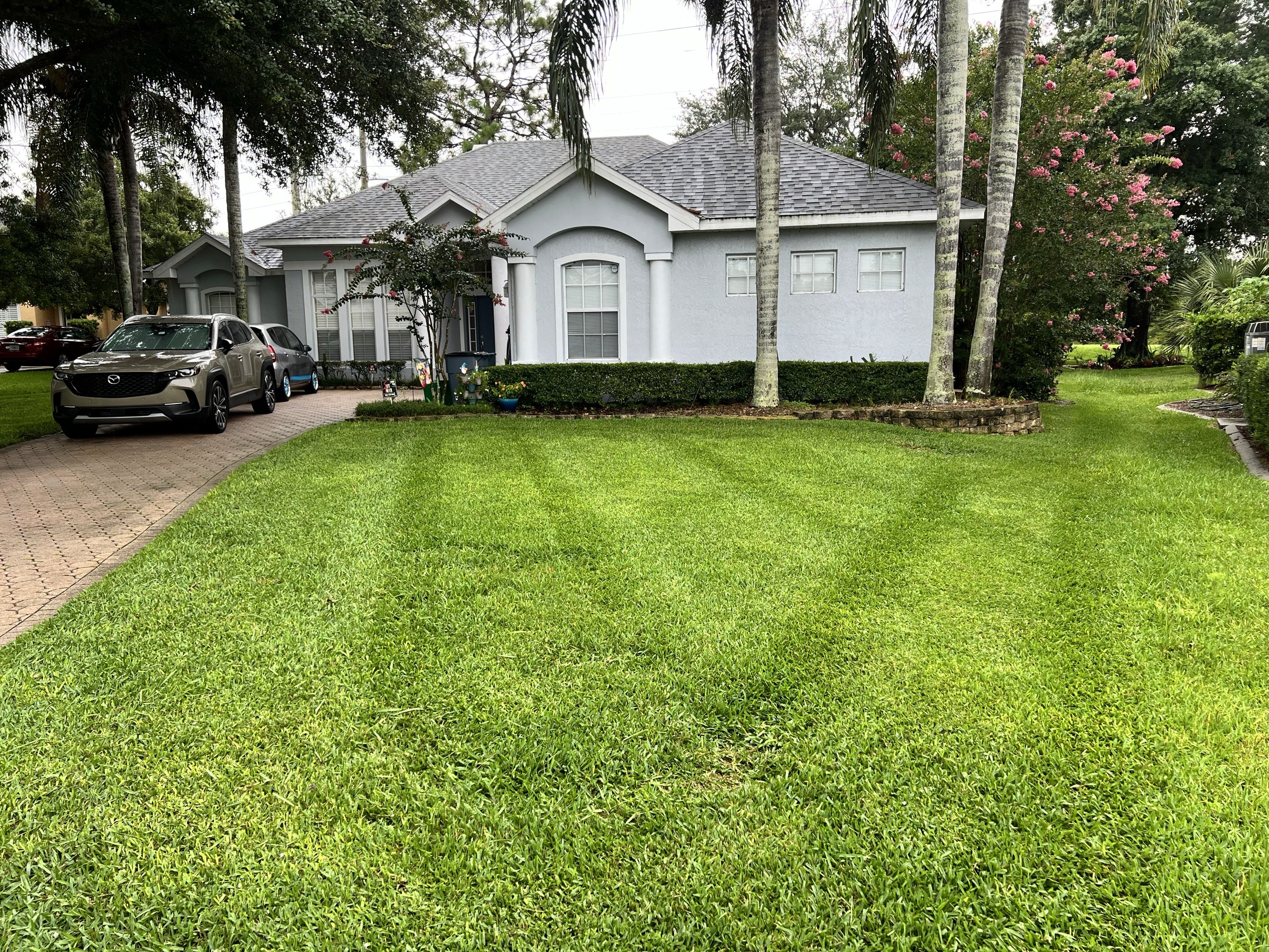 Professional landscaping and lawn maintenance Orlando FL
