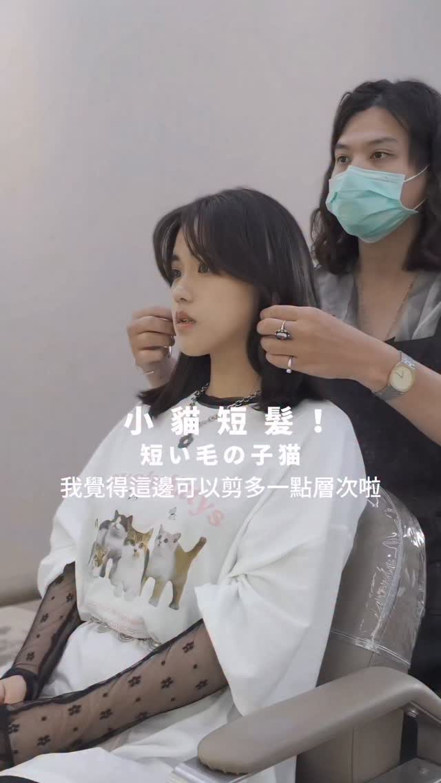 高雄小貓短髮層次設計