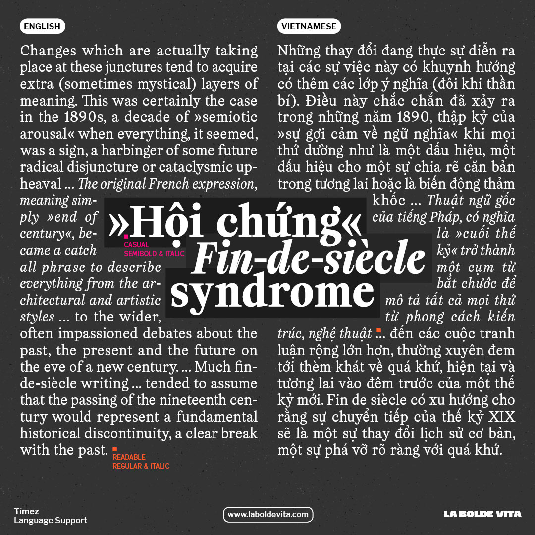 two columns of text comparing english and vietnamese sample text set in Timez Readable