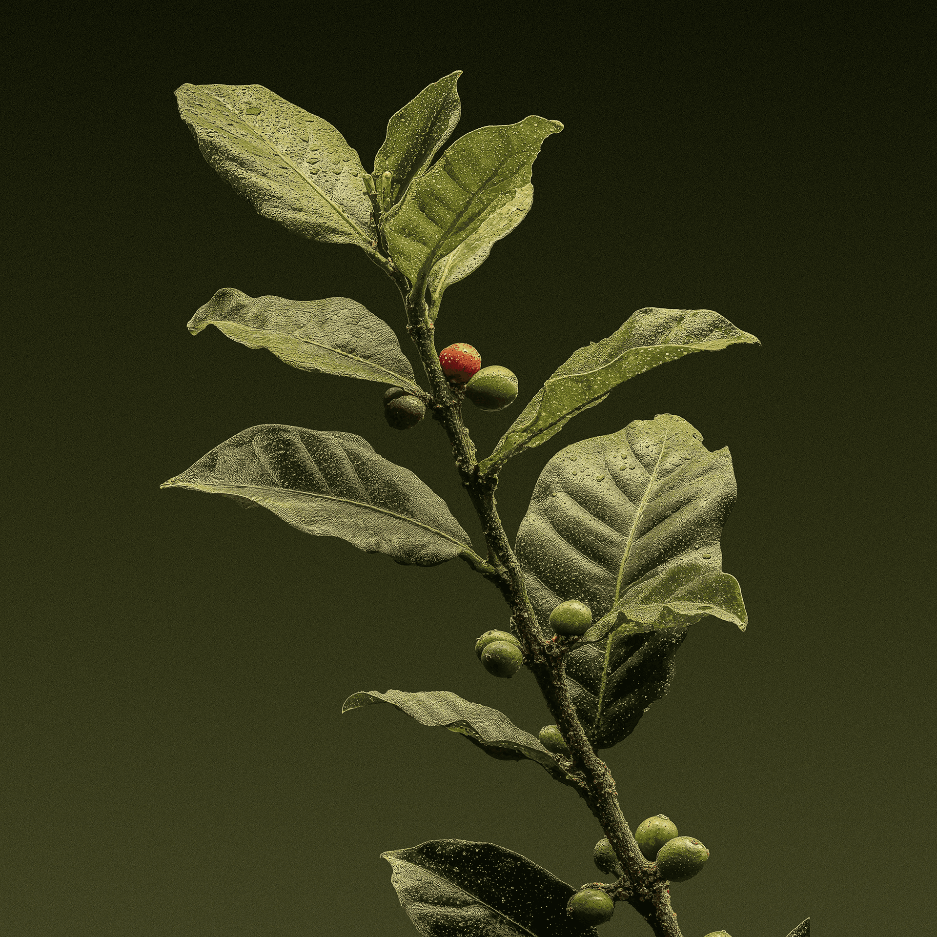 Ampère project image 9.1