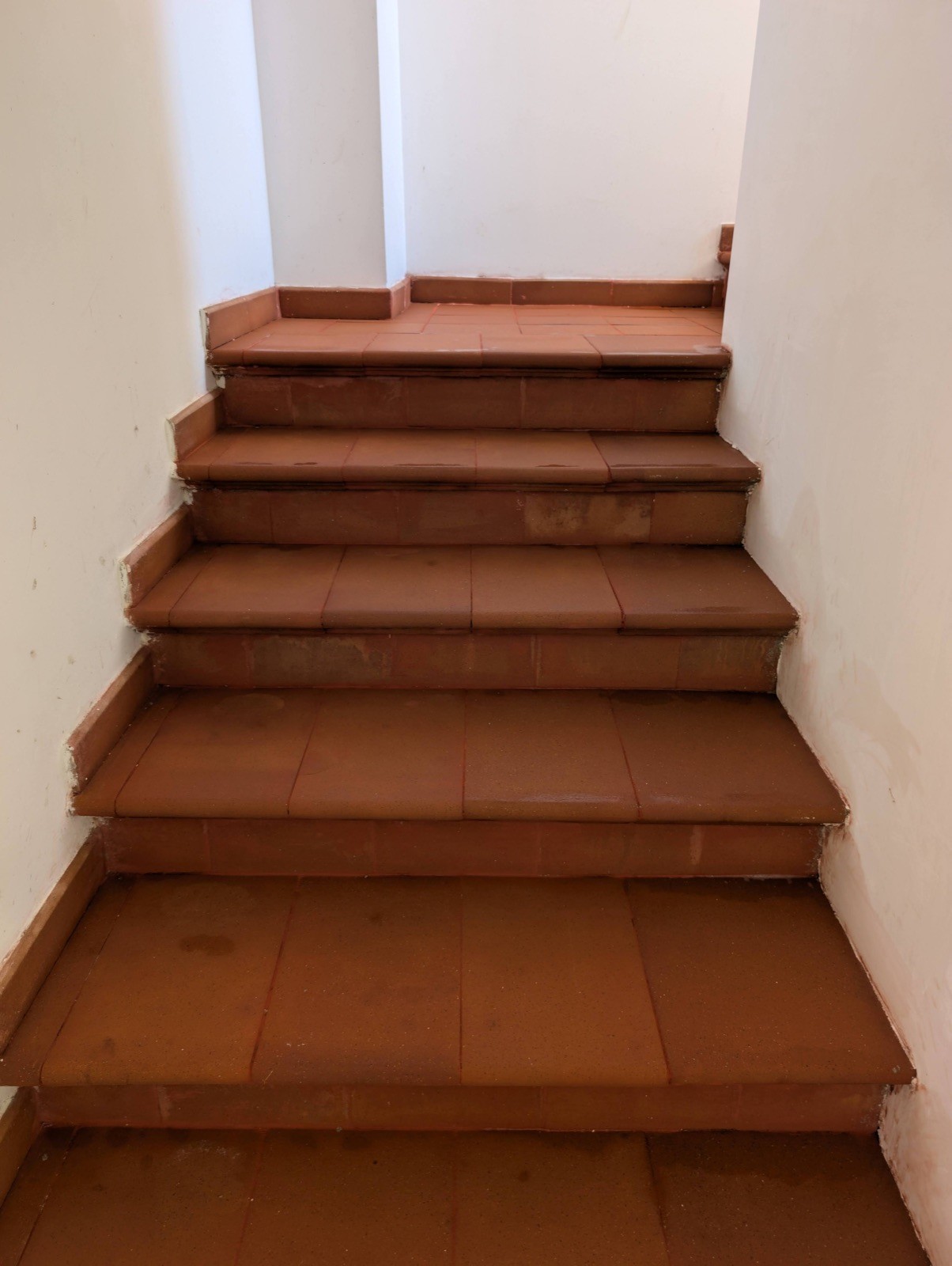 Terracotta, cement tiles and terrazzo, after treatment