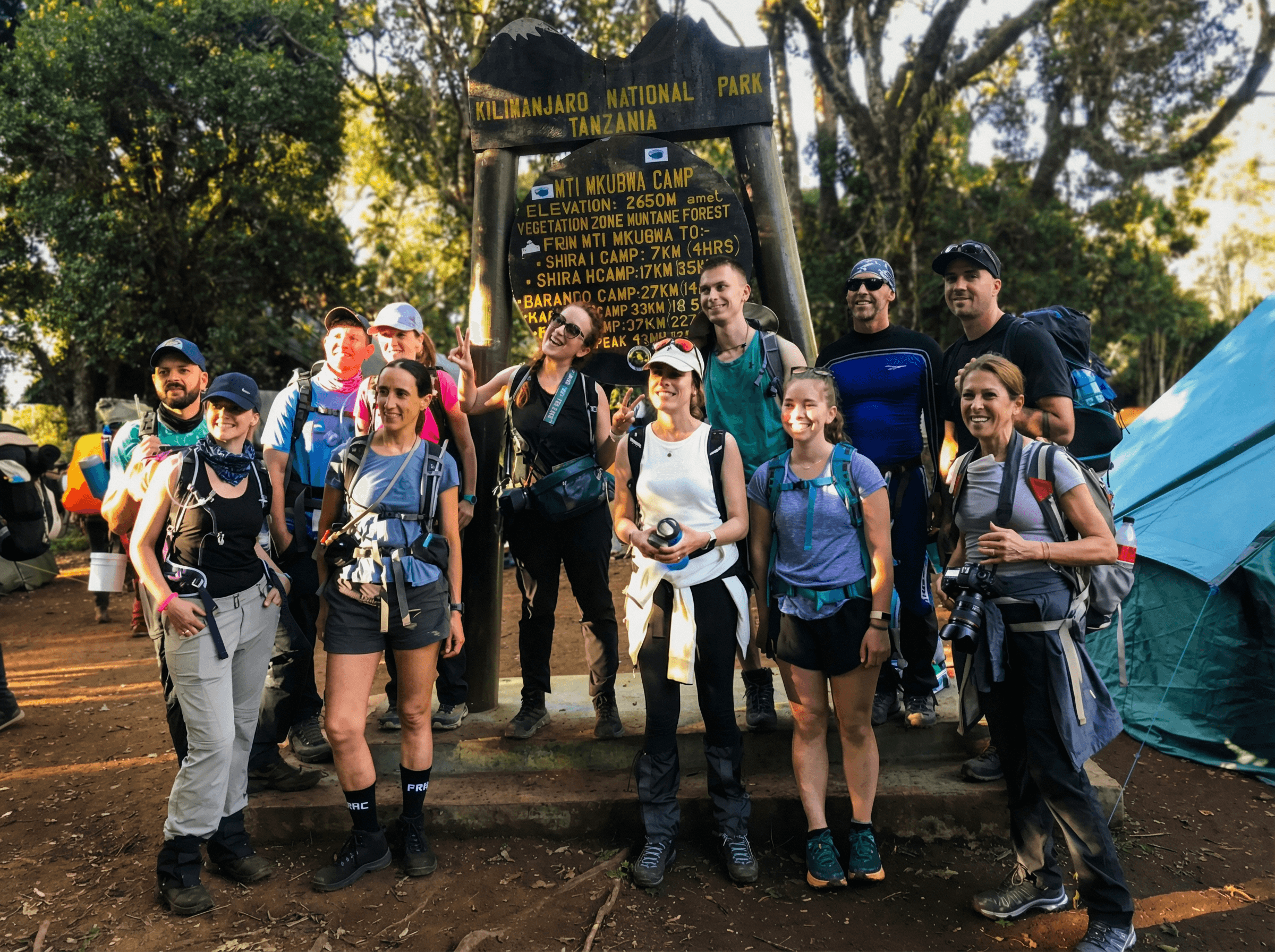 Desert footsteps leading through soft dunes under pale morning light in AlUla.