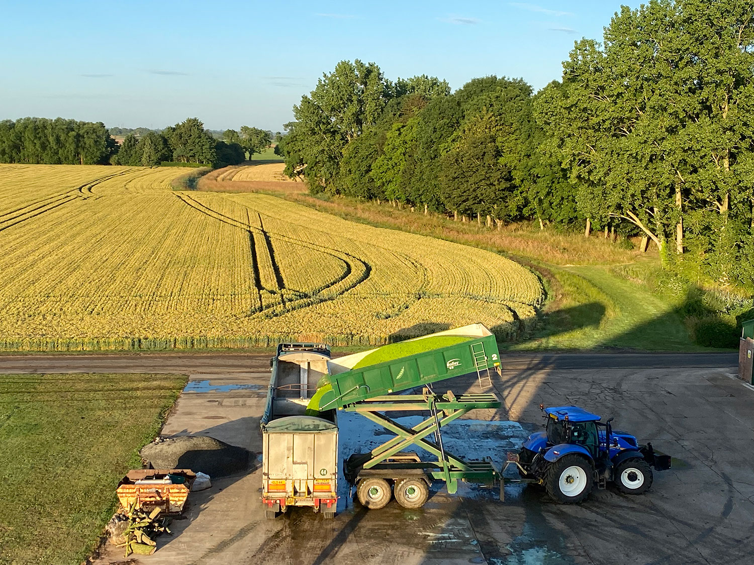 Blue tractor offloading crop into a lorry and trailer