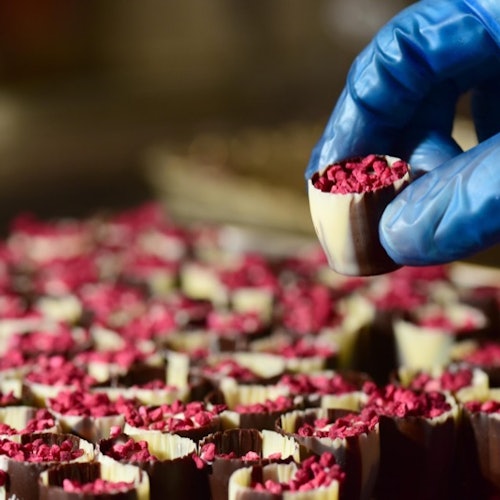A gloved hand holding a small dessert filled with red toppings, with many similar desserts arranged in the background.