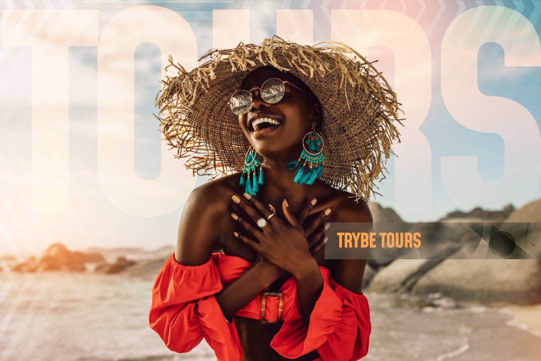 Website Design & Development