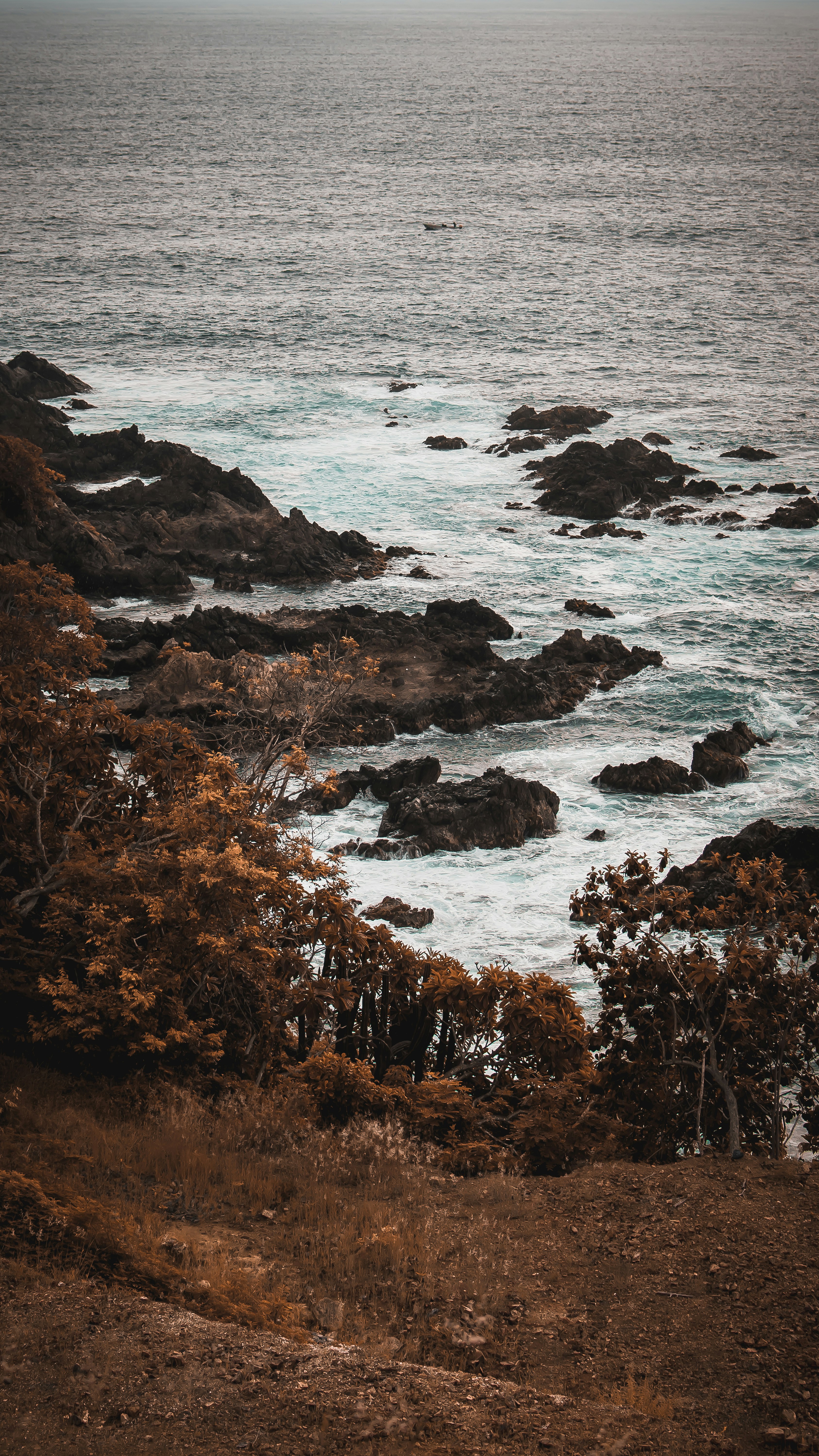 brown trees on brown rock formation near body of water during daytime