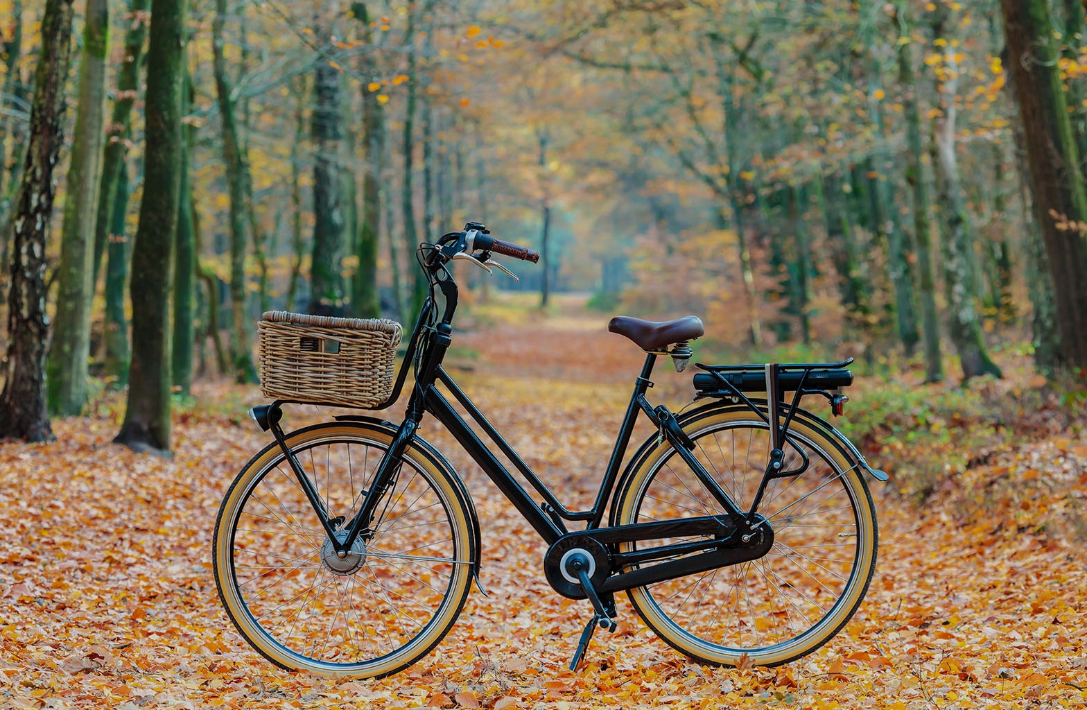 Witte bakfiets voor grauwe muur