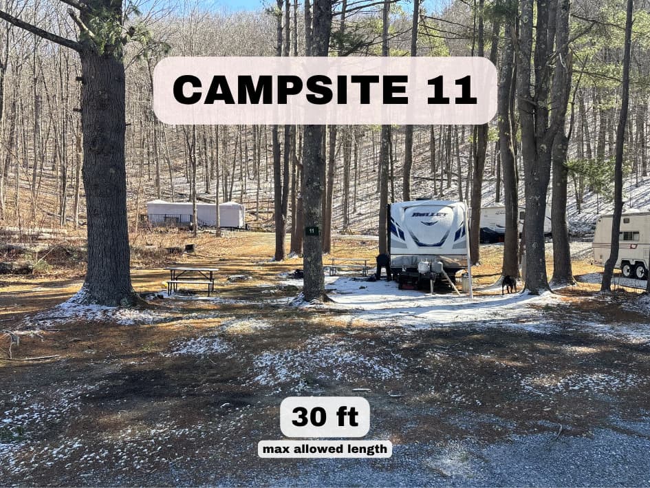 Wooded RV campsite 11 at Pine Hollow with 30ft max length and shaded forest setting