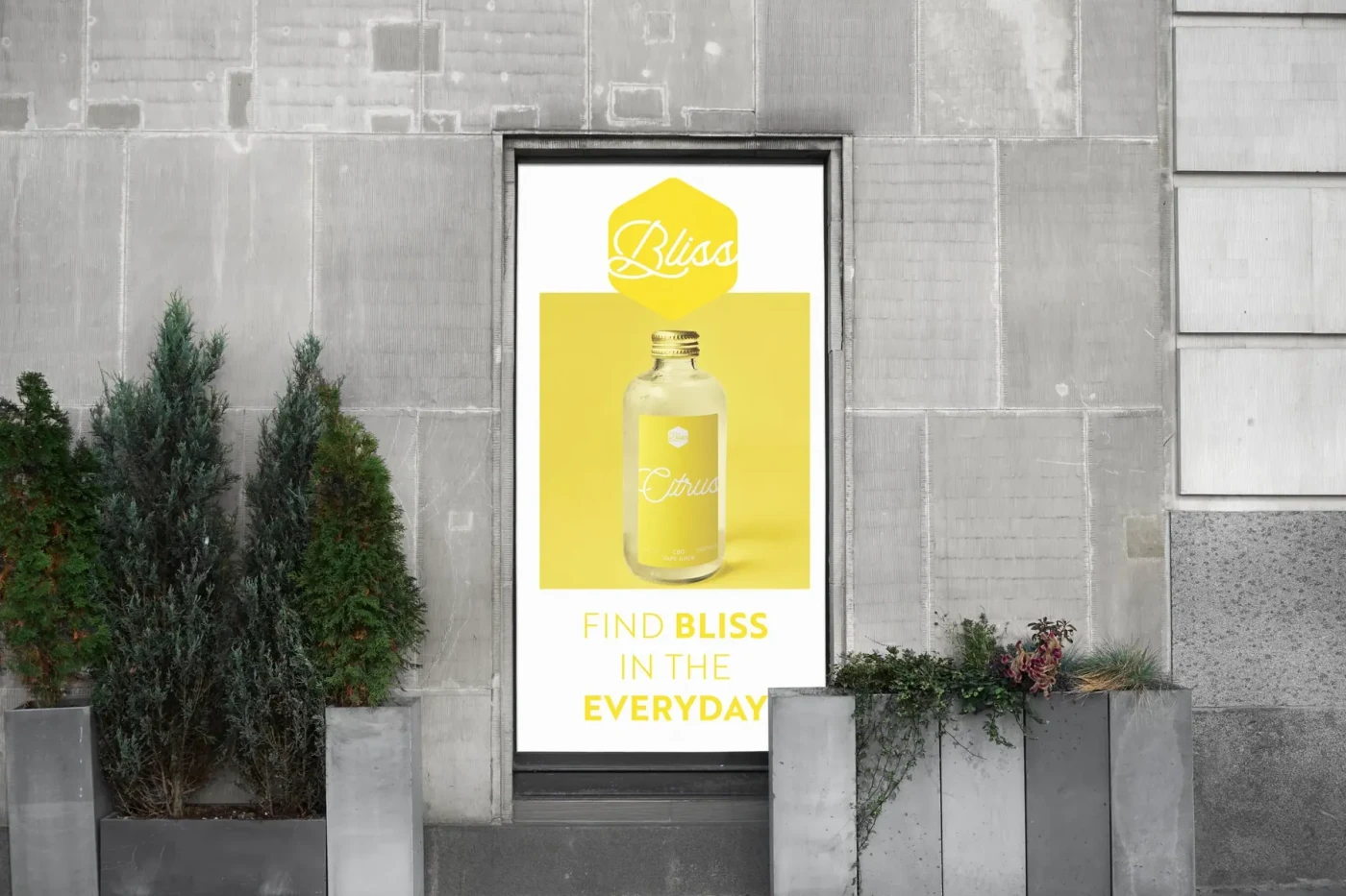 Bliss CBD: Logo, guidelines and packaging across a full product range.