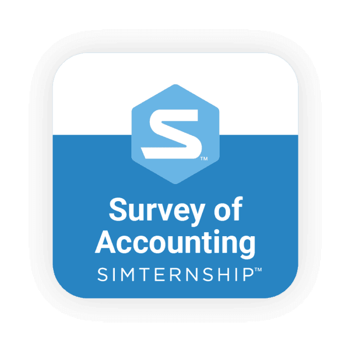 Survey of Accounting Simulation