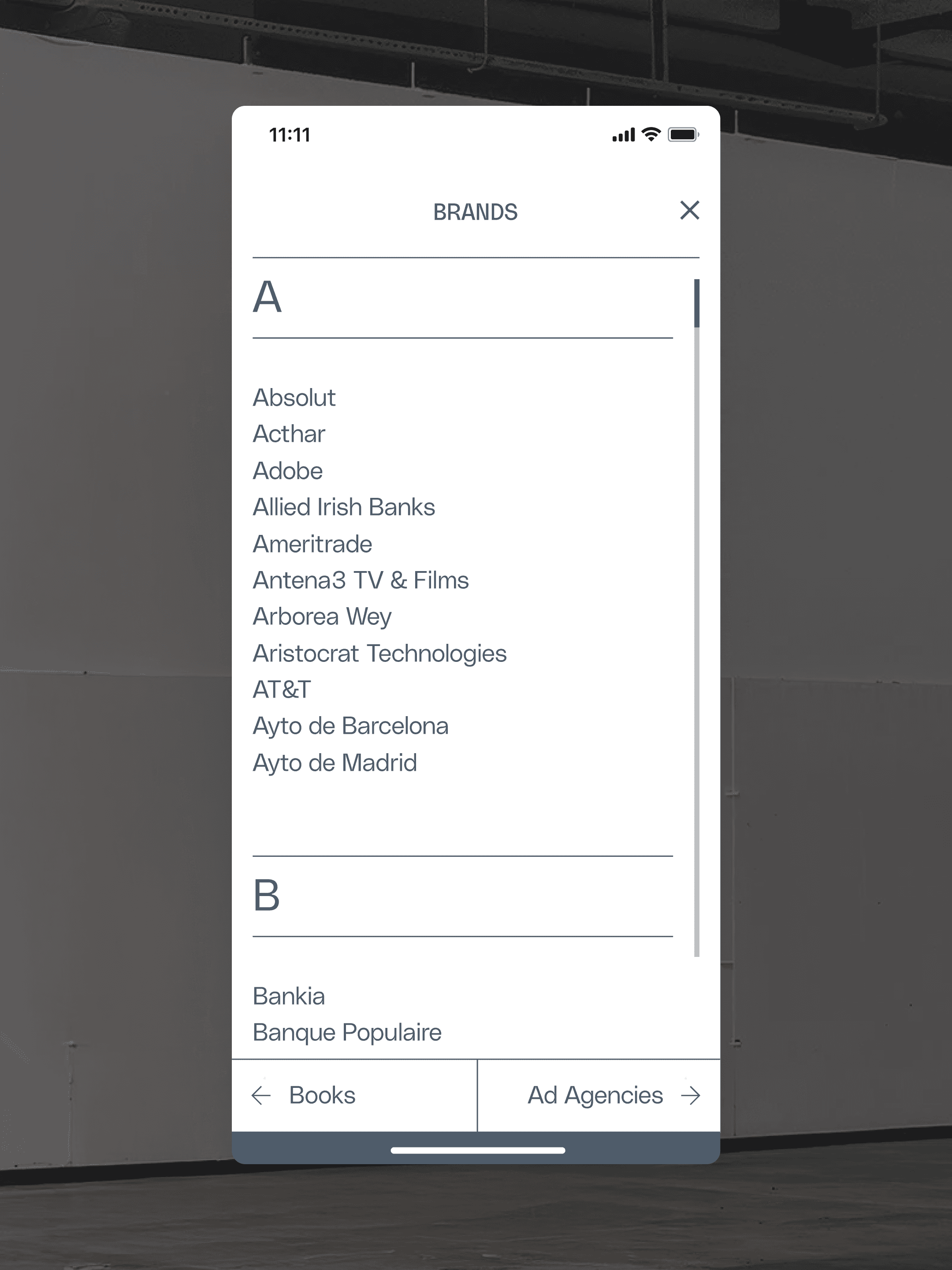 Mobile interface design for brand list modal, utilizing the established digital design system