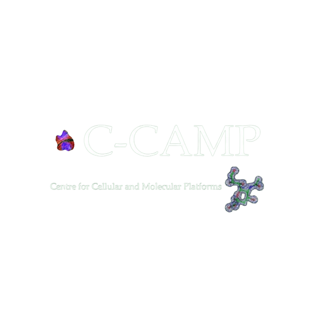 Placeholder client logo