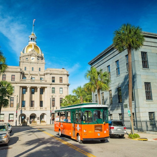 一辆绿色和橙色的电车驶过一座带有金色圆顶的大楼,在一片晴朗的蓝天下,道路两旁是棕榈树。
