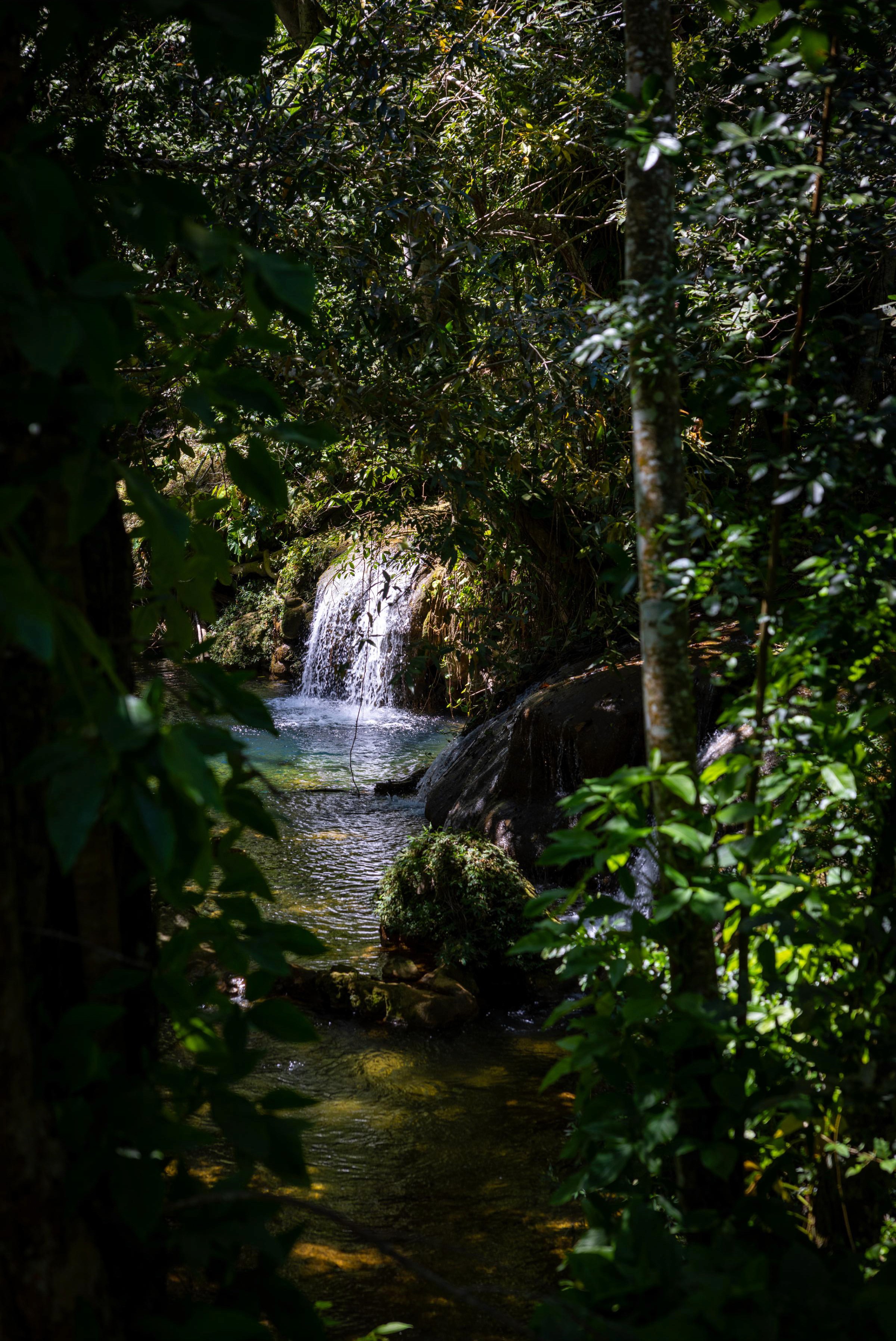 Soroa Waterfall detail