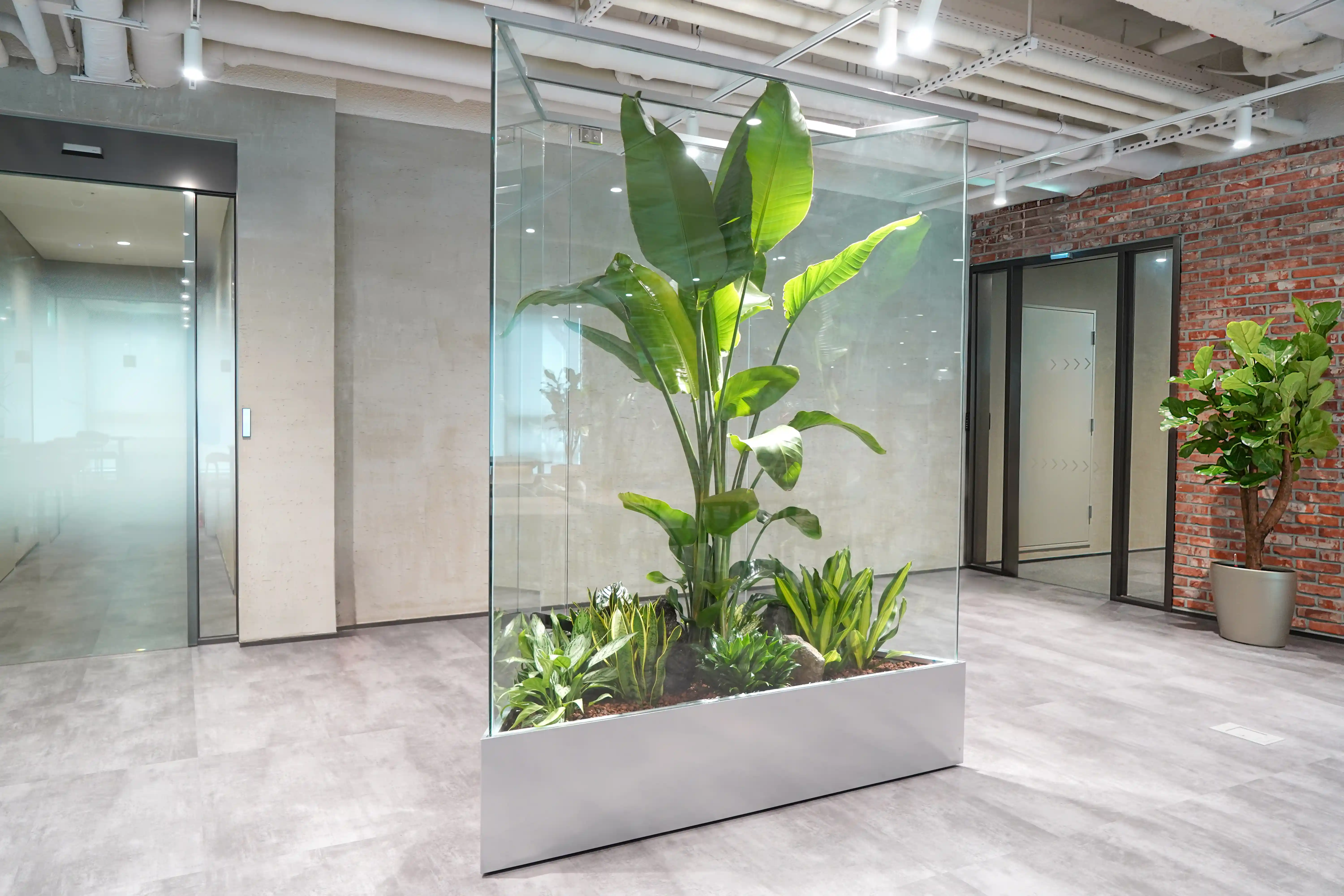 조경업체 에코피플의 여인초 실내조경 사례