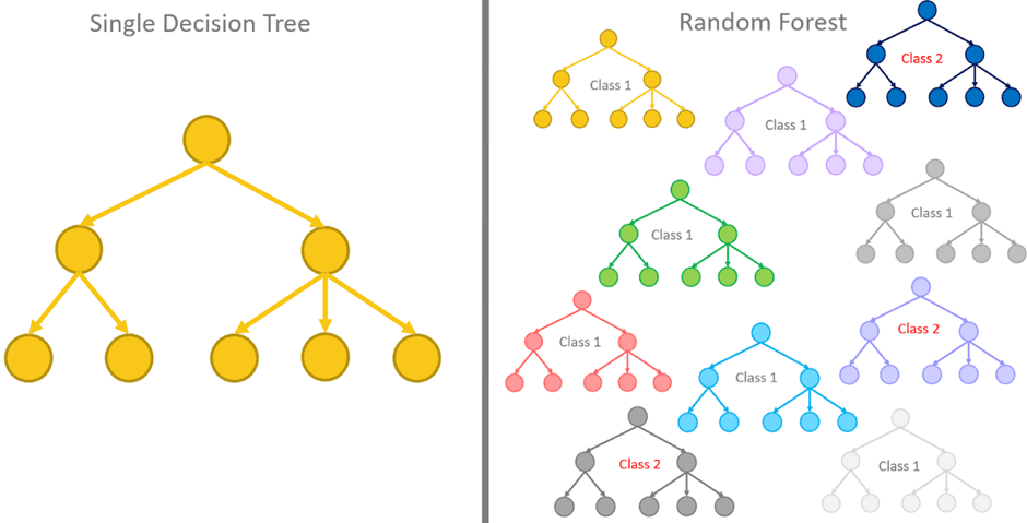 Diferencia entre el algorítmo árbol de decisión y bosque aleatorio en aprendizaje automático