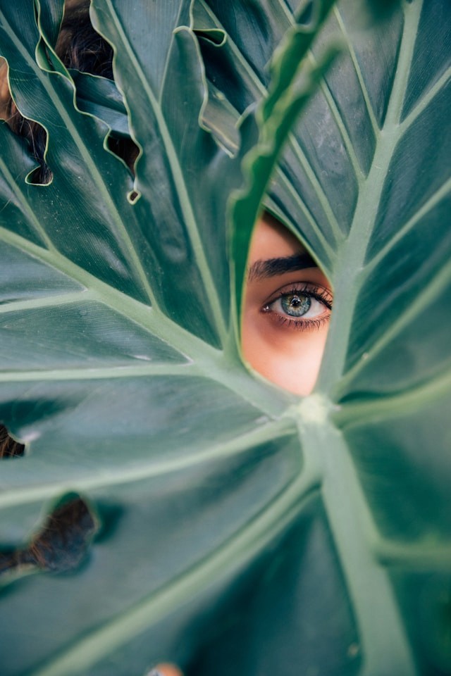 eye through plants