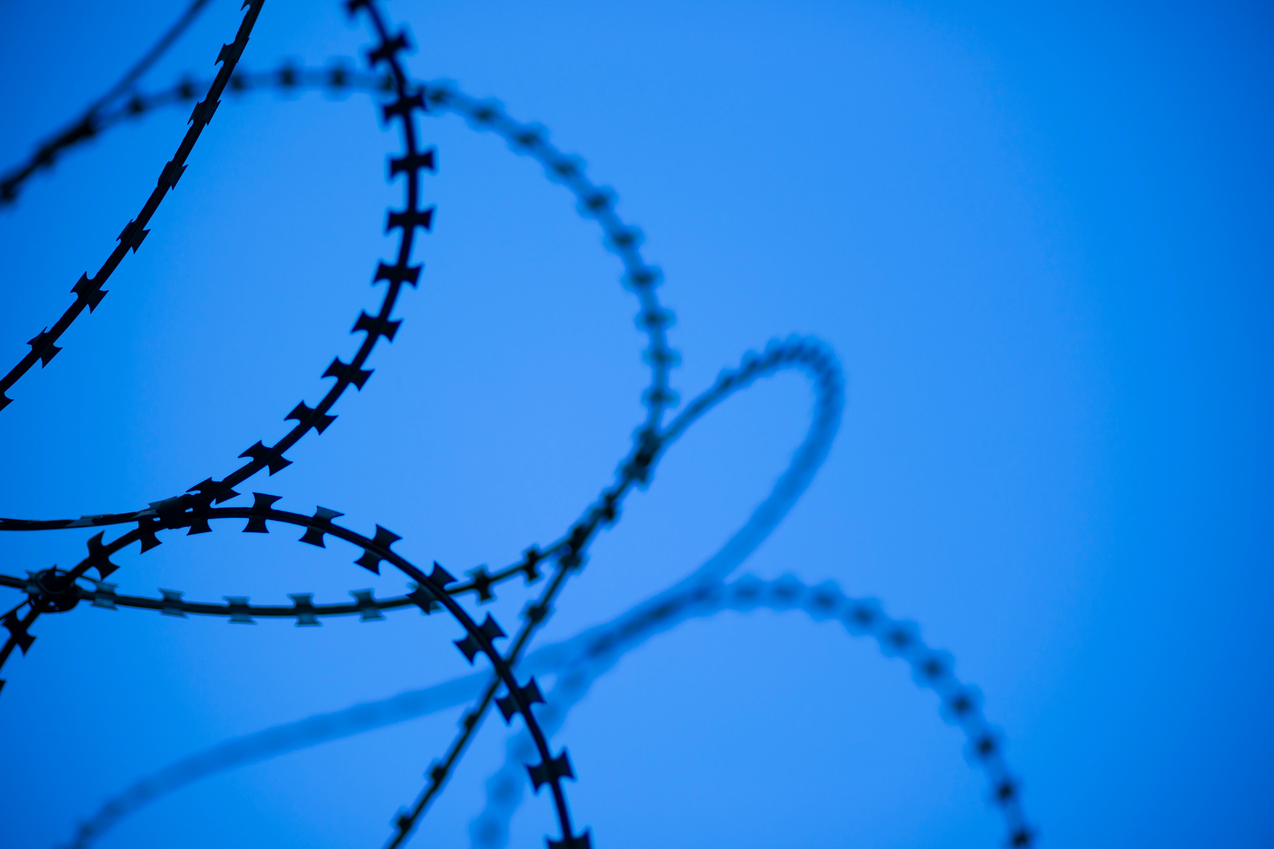 black metal wire fence under blue sky during daytime
