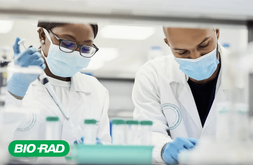 Scientists working in a lab