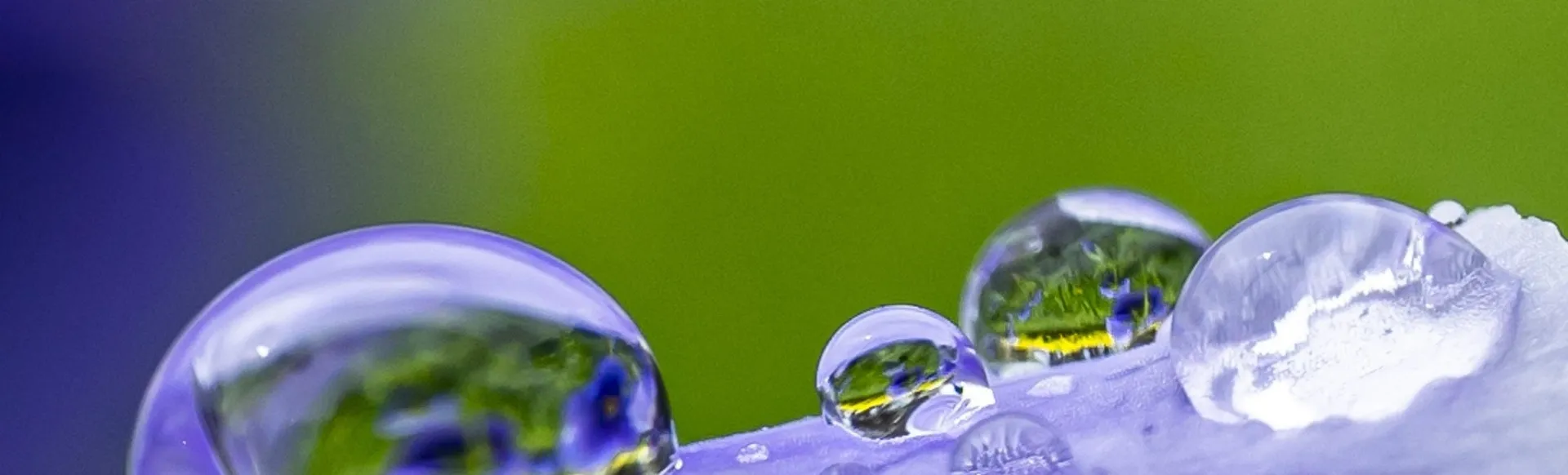 Große Wassertropfen mit einem grün und blauen Hintergrtund.