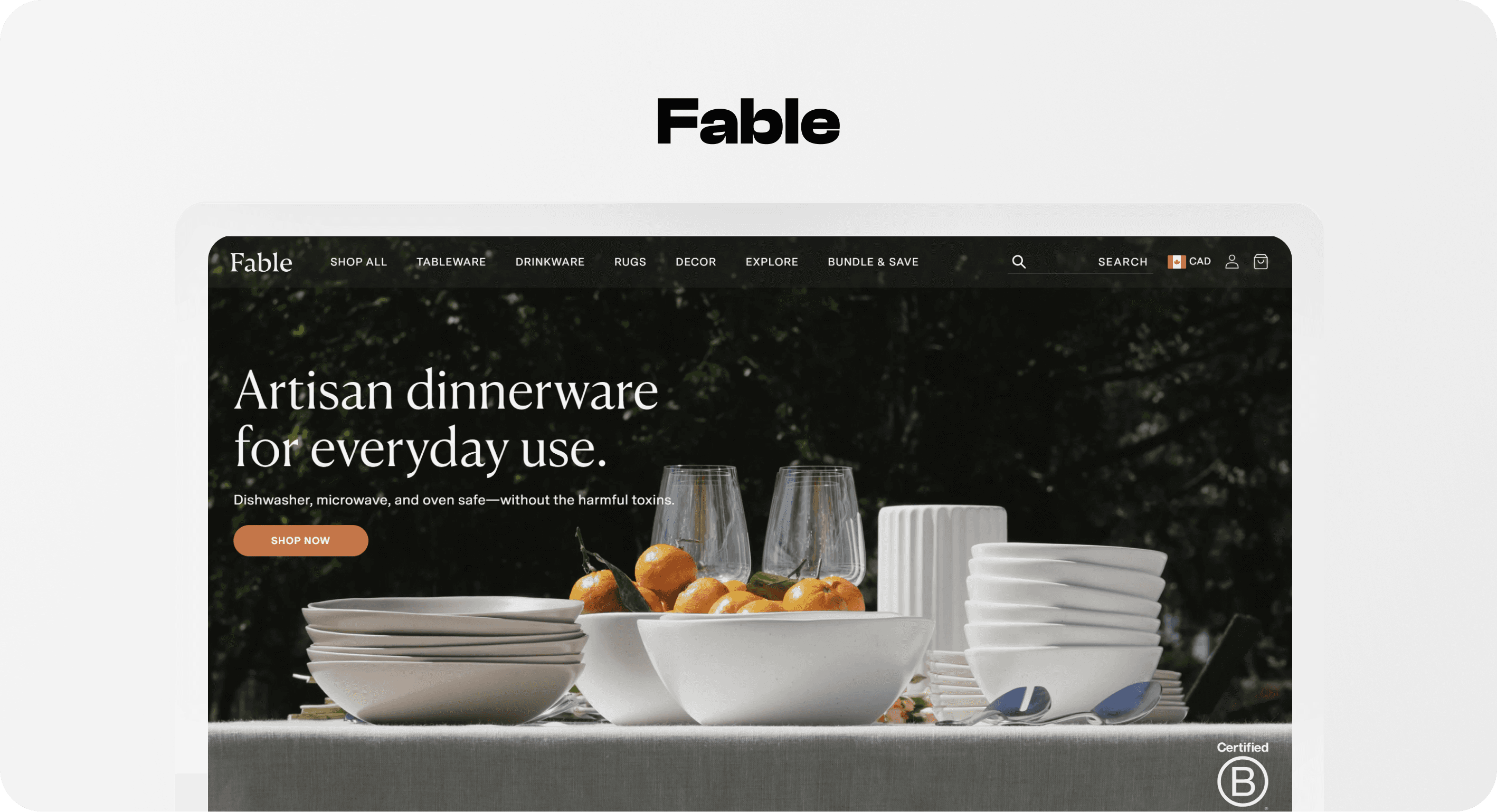 Fable homepage showing coordinated dinnerware and navigation for tableware, drinkware, rugs and decor.