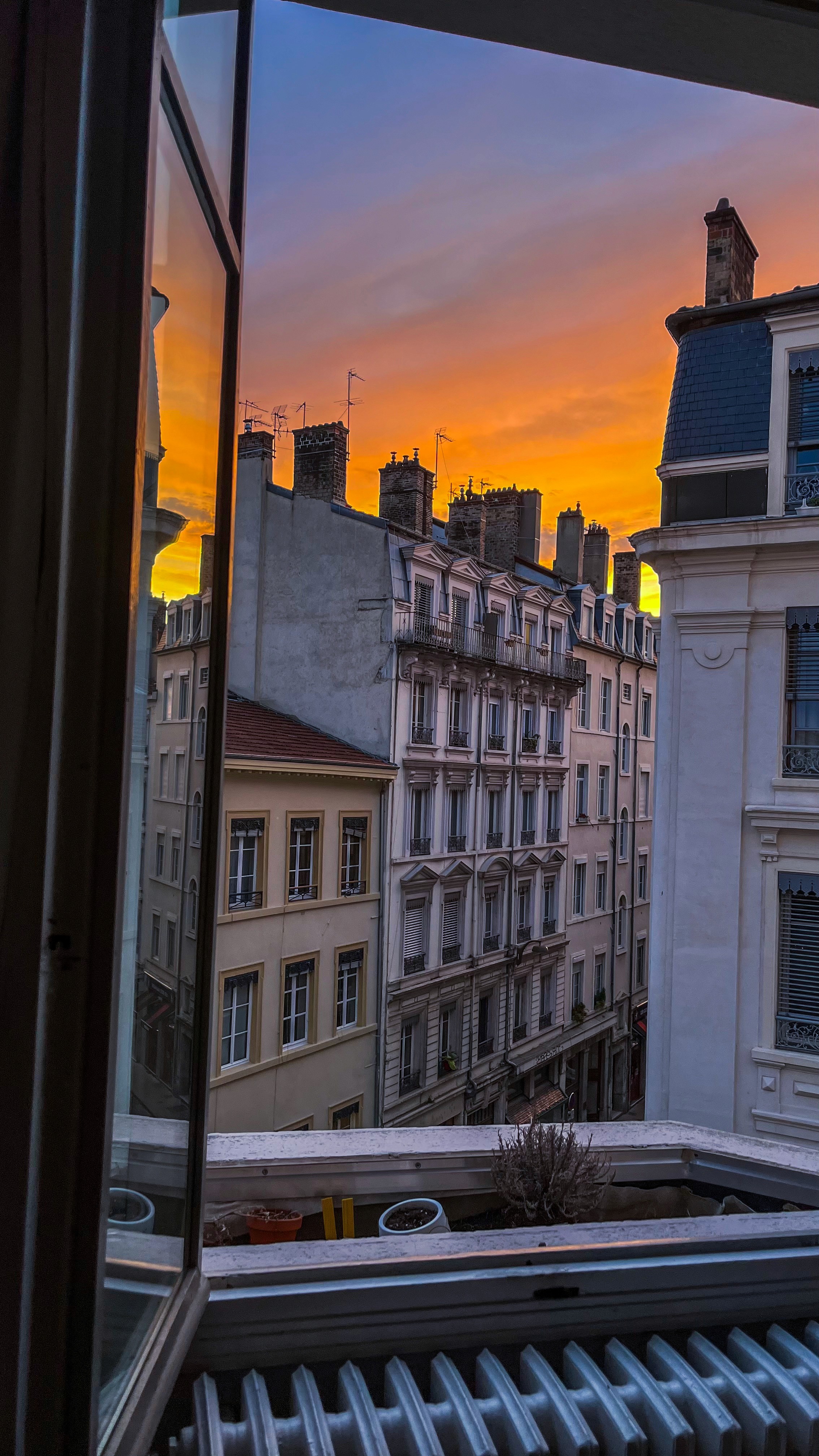 Testing & Optimization