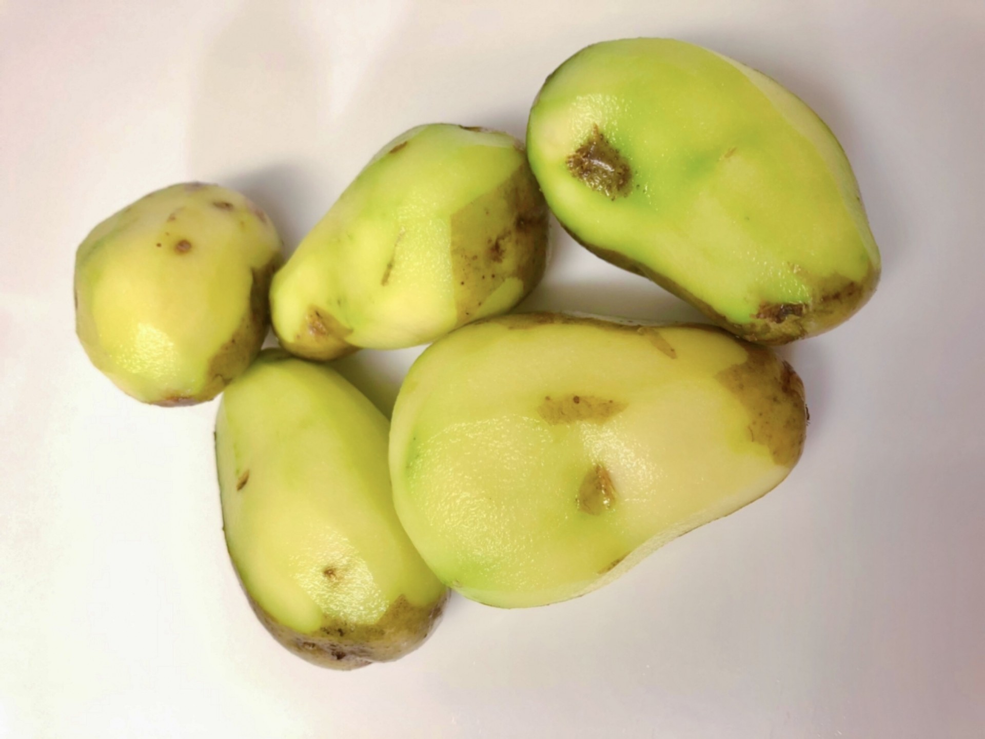 【医師監修】ジャガイモで食中毒？ソラニンの症状・原因・正しい予防法を解説【2026年】