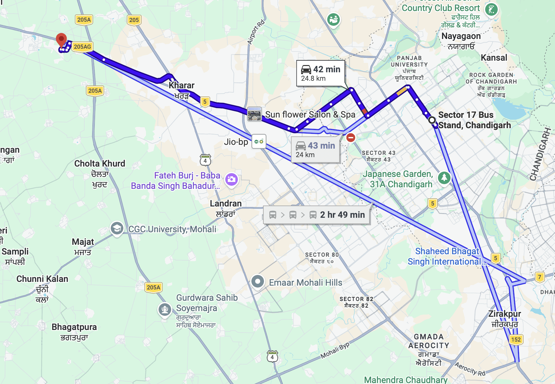 The interior of the Botanical cafe in Vienna