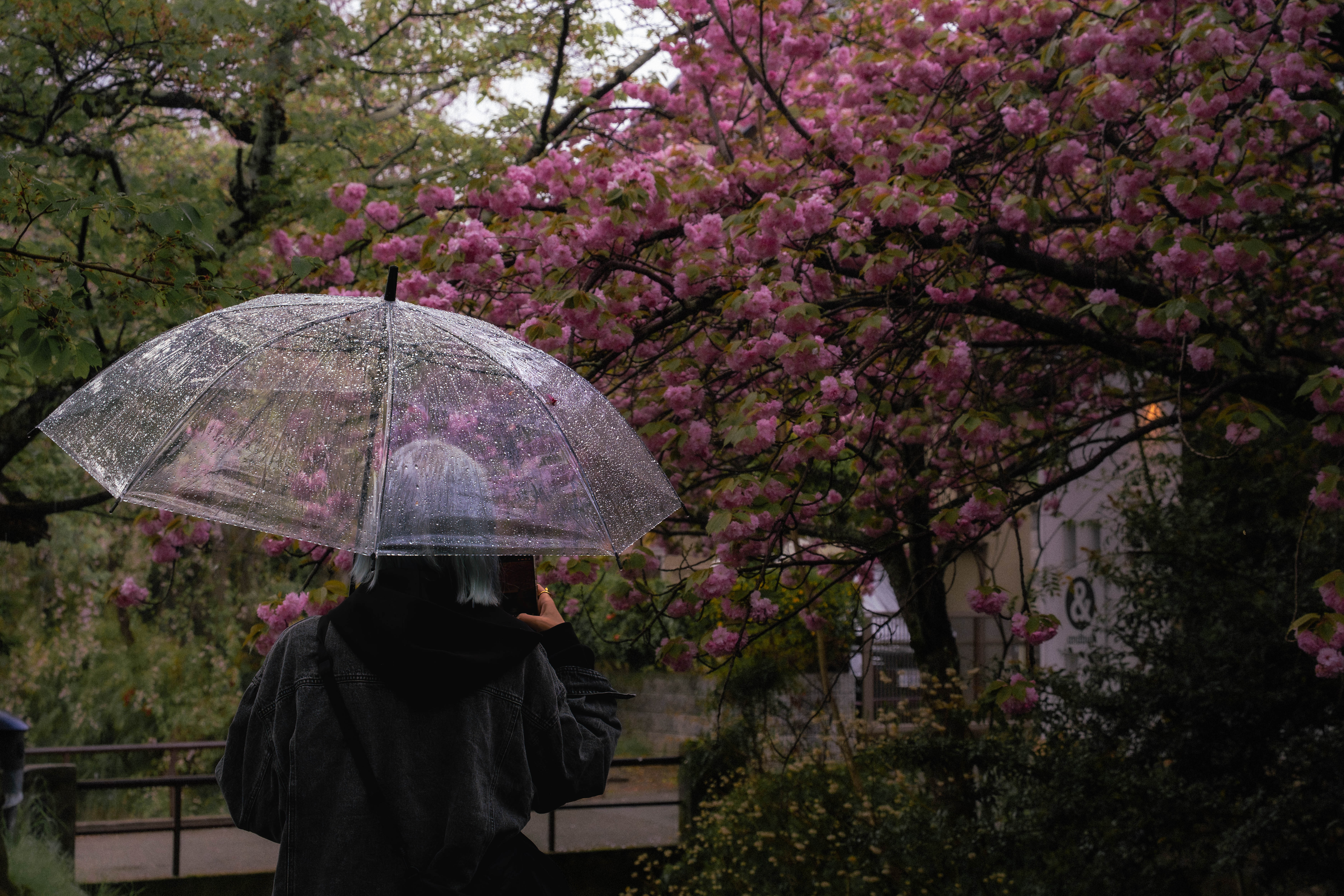 Japan photograph 11