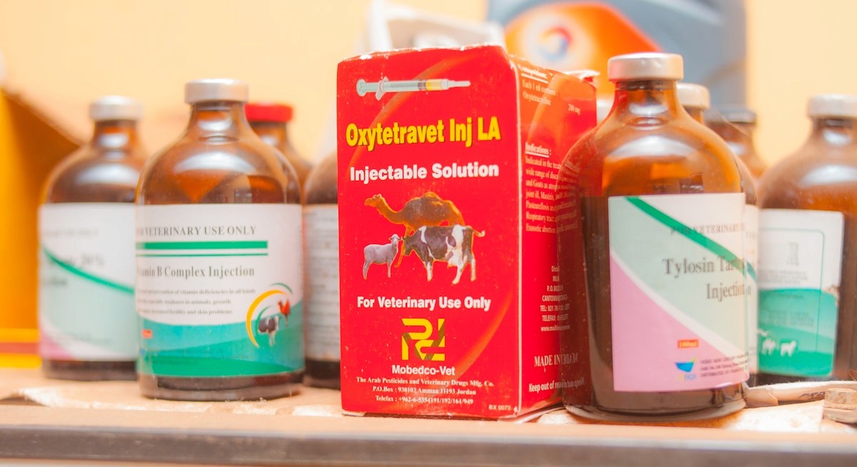 Veterinary injectable formulations representing Alpavet animal healthcare products