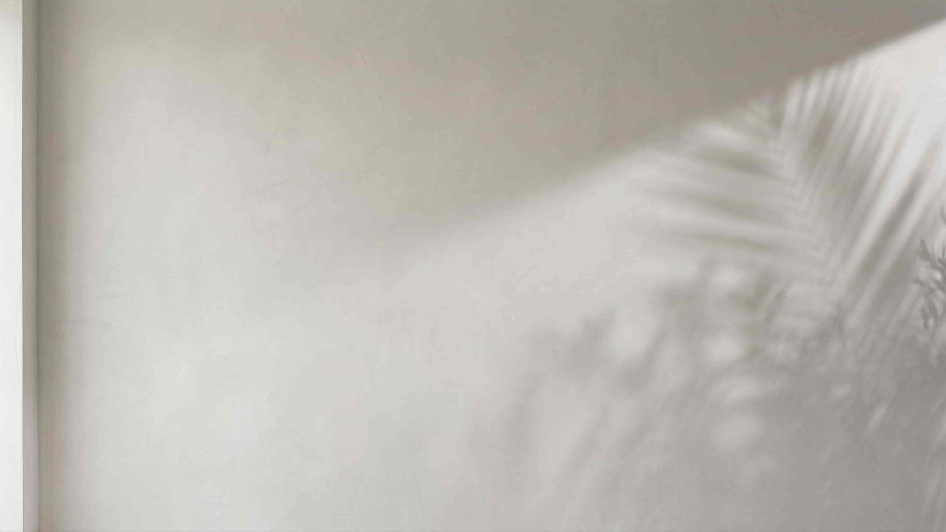 Minimal light wall with soft natural shadows of palm leaves