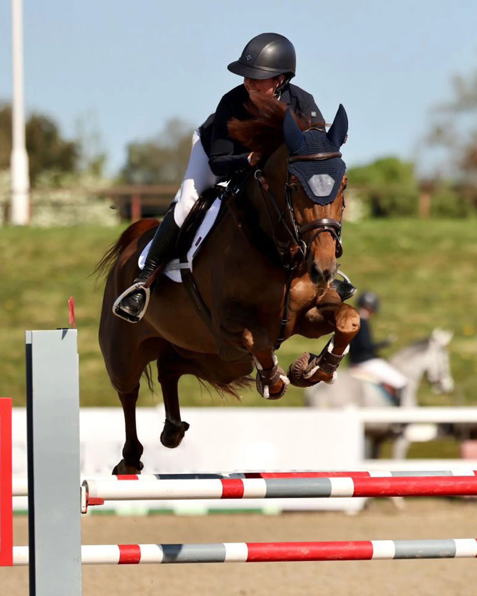 Horse and rider jumping over obstacle
