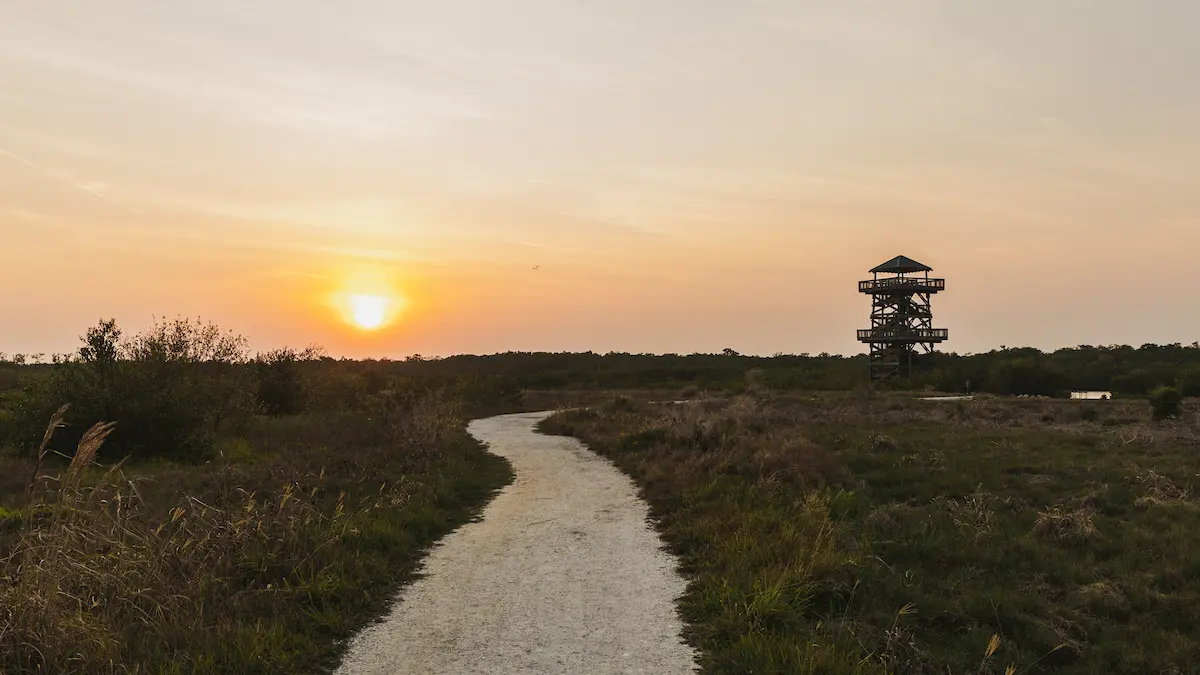 A scenic sunset over a natural landscape in Bradenton, FL, featuring a winding path leading to a wooden observation tower surrounded by lush vegetation under a sky painted with warm hues.
