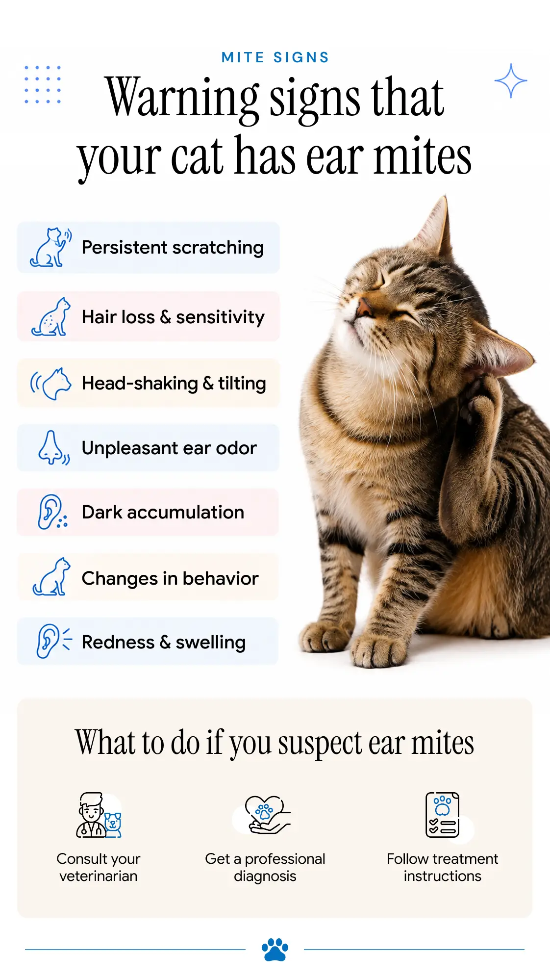 An infographic showing the signs of ear mites in cats and what you must do