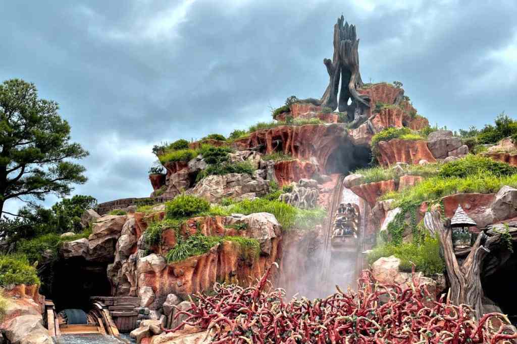 splash mountain, tokyo disneyland