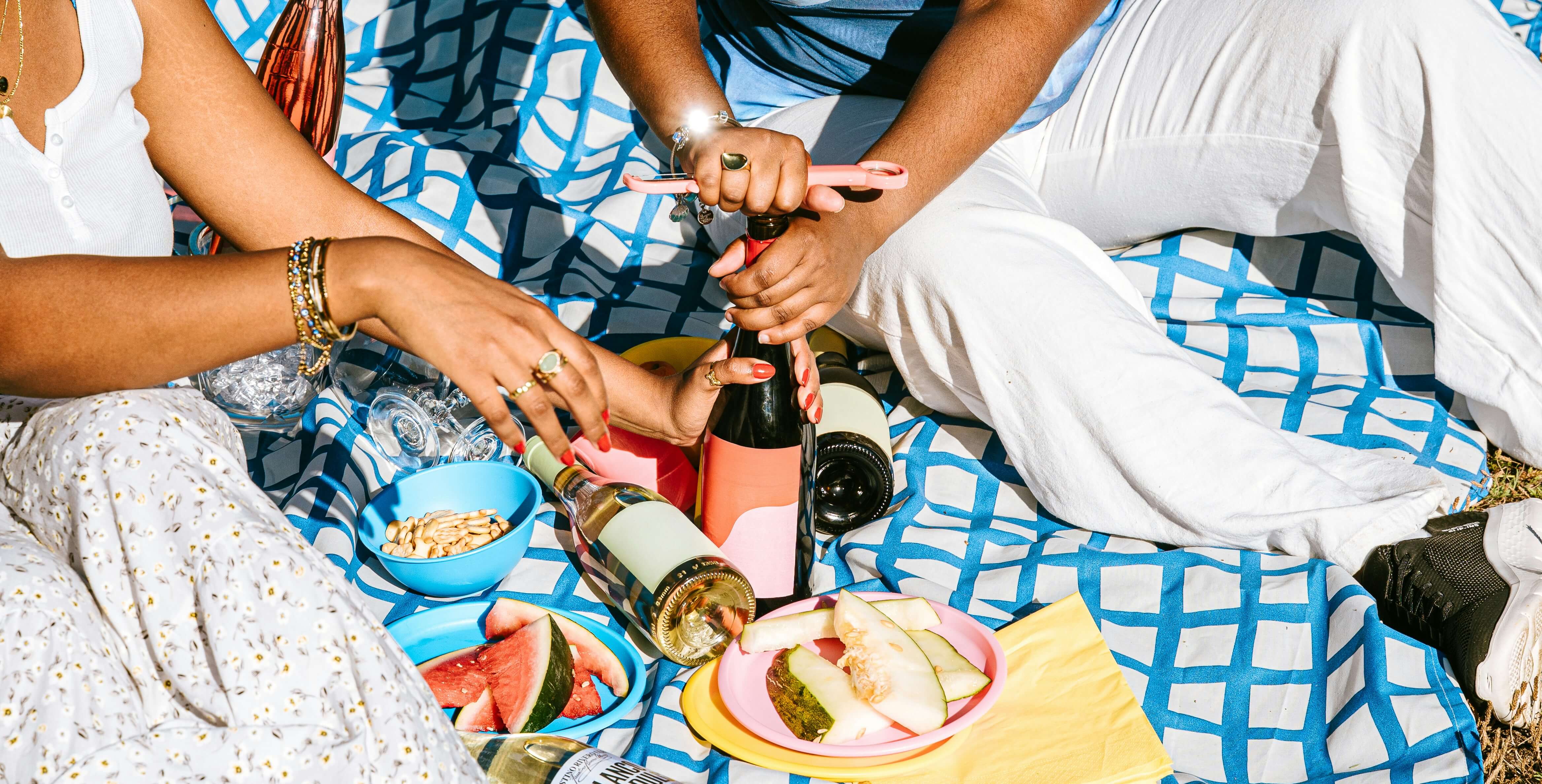 people sitting enjoying a picnic